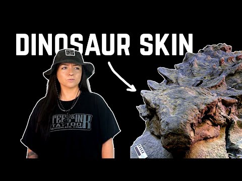COOL FOSSILS and also one I'm PISSED ABOUT | Lindsay Nikole