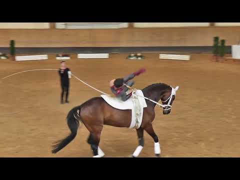 Pferd International 2018 - Voltigieren - Luca Cherubini