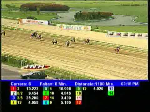 Resumen Sábado, 21 de Septiembre de 2013 - La Rinconada