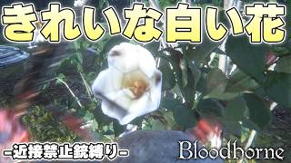 聖杯ダンジョン深度3に咲く白い花はいともたやすく真っ赤に染まる【Bloodborne実況】
