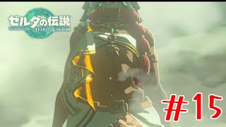 ゲルドの戦士の腹筋がえちえちすぎる #15【ゼルダの伝説ティアーズオブキングダム】