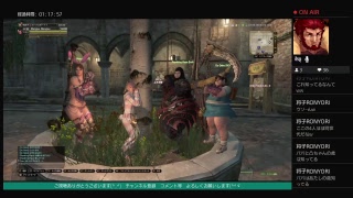 ［DDON］マングーの大将戦ヤりましょう