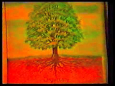 Jednoća Stvoritelja 1