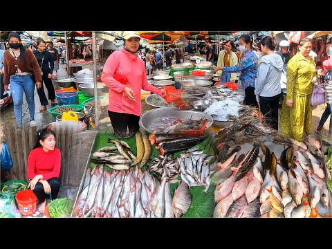 A vivacidade dos vendedores no mercado cambojano. Os mercados ativos incluem peixes, frutos do mar e muito mais