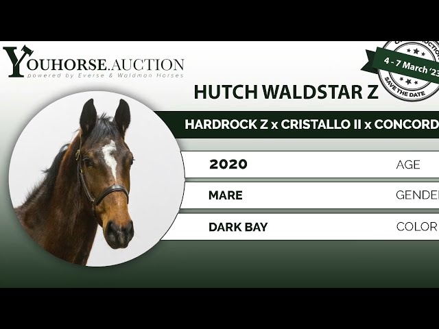 Hutch Waldstar Z @ home