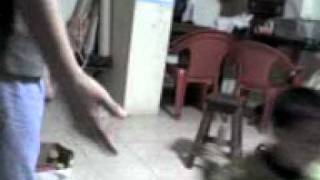 la travesuras de juanmanuel 2010