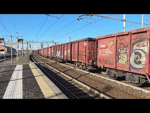 DB-  E483- CON CARRI ENOS  .