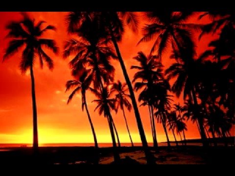 Evening Coconut cover