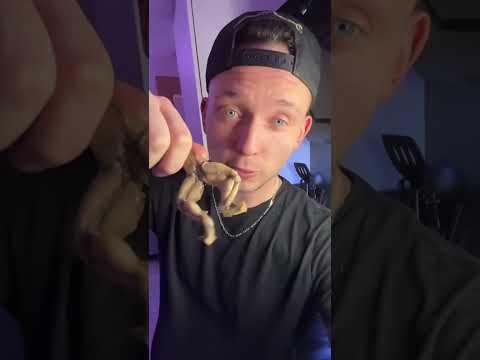 FROSCH SCHENKEL aus der  HEIßLUFTFRITTEUSE! #frog #cooking #food