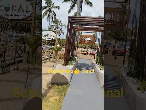 como você conhecer Praia Gunga Maceió Alagoas 🏖️⛱️🐚🏖️