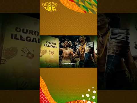 Yanomami viverá! #amazonia #boigarantido #yanomamis