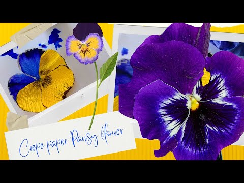 The Garden Pansy, the easiest to make crepe paper flower (For Beginners)