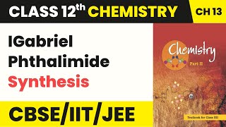 Gabriel Phthalimide Synthesis - Amines | Class 12 Chemistry Chapter 13