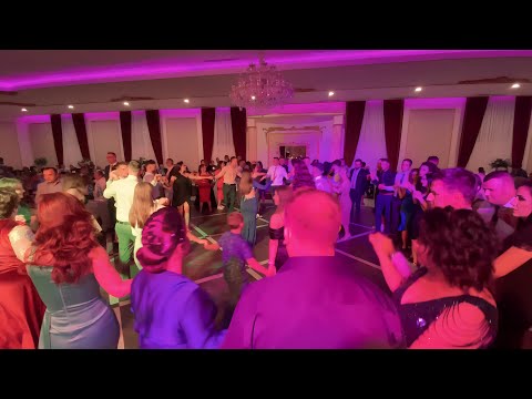 Paula Lezeu și Formația - Muzică de petrecere LIVE / NUNTĂ