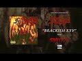 KITTIE Brackish XXV Official Audio