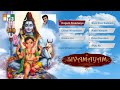 எங்கும் சிவமாக எதிலும் சிவமாக ஓம் நம�