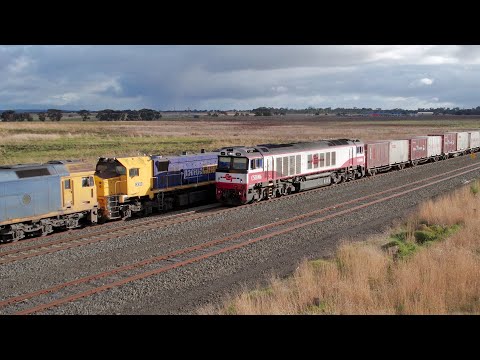 7922V SCT / SBR Dooen Container Train Passes X50 & X48 On A Grain Train (8/5/2023) - PoathTV