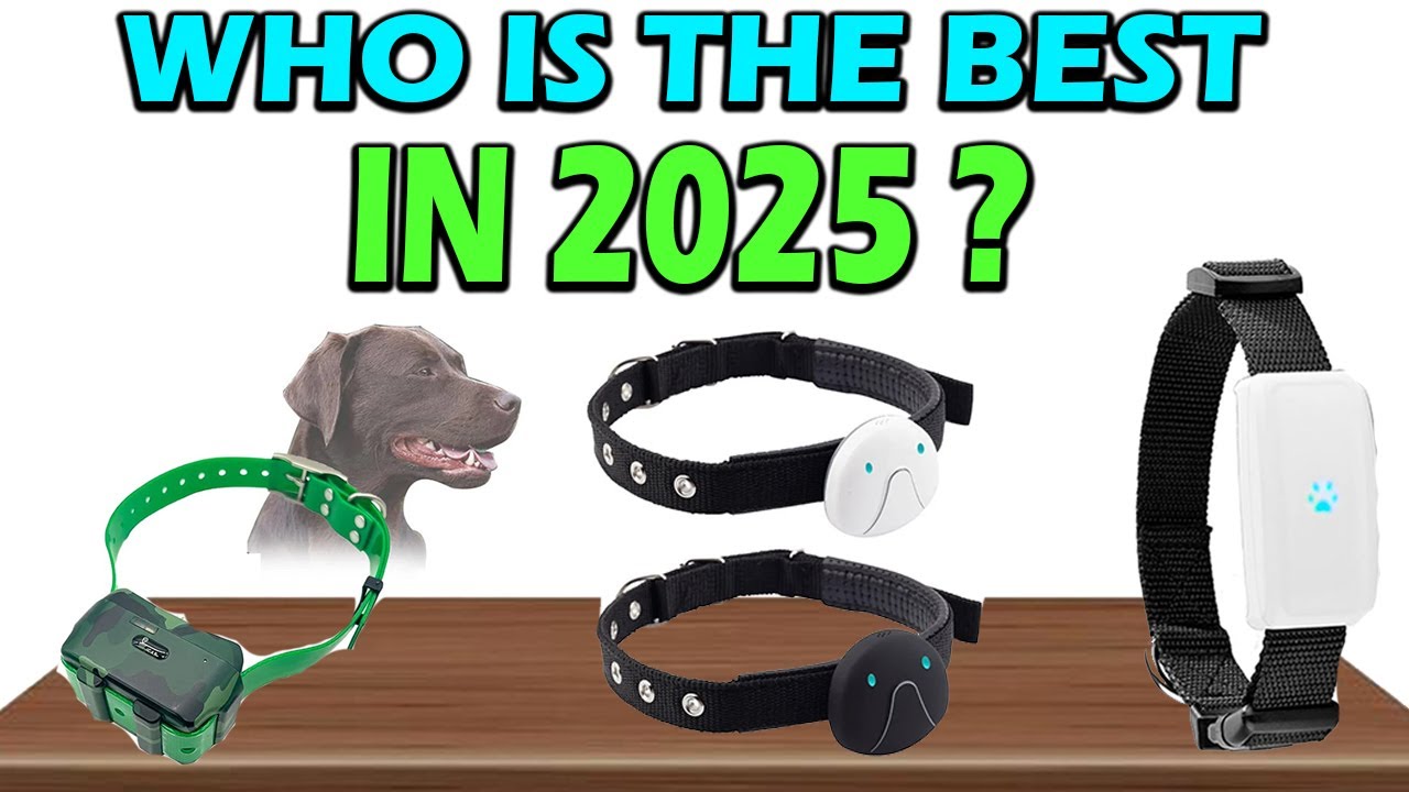 TOP 5 Best Pets GPS Tracker In 2025