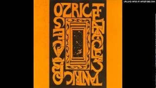 Ozric Tentacles - Trees of Eternity (Live 10-xx-85 Glastonbury)