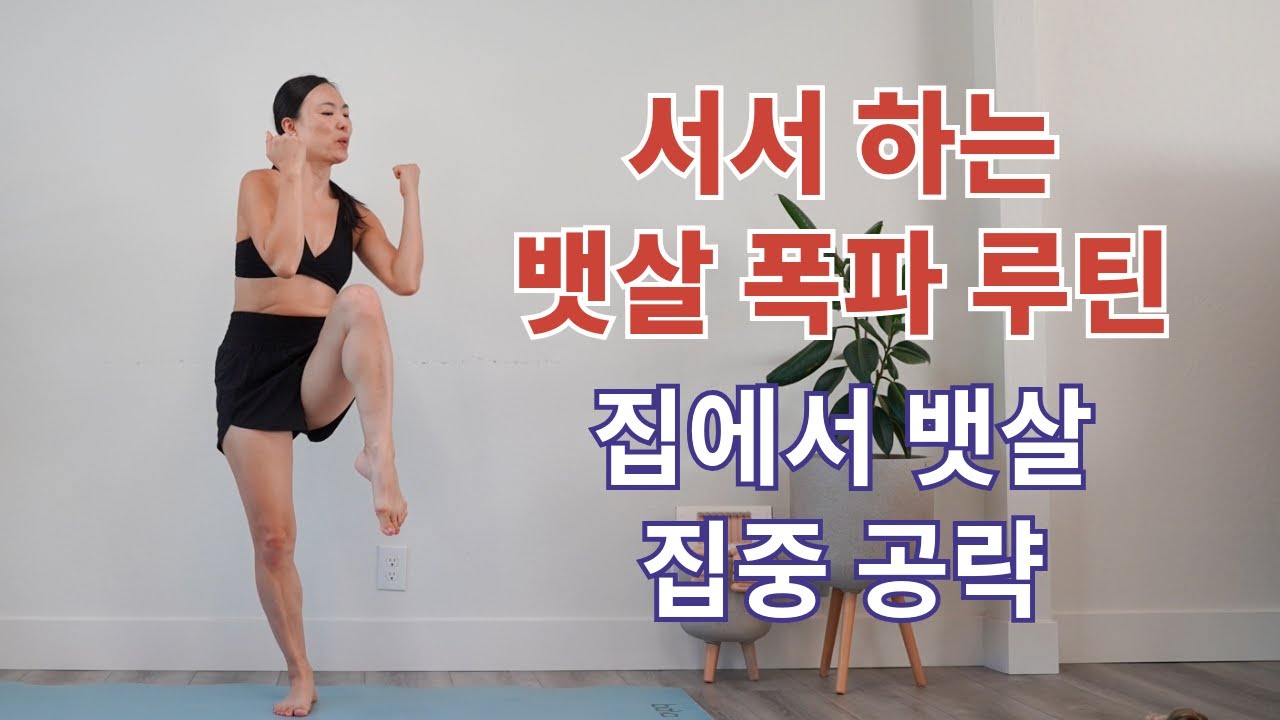 코어