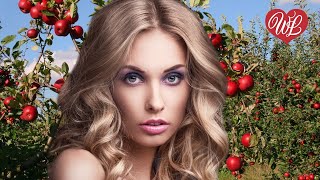 ЯЙ-Я ♥ ХИТЫ ШАНСОНА ДЛЯ ТАНЦПОЛА WLV ♥ ПЕСНЯ ЗАЖИГАЛКА ♥ RUSSIAN MUSIC HITS WLV