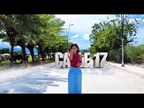 SAN MARTÍN SE TRANSFORMA: Avenida la 17 - Intervención de calles pavimentadas.