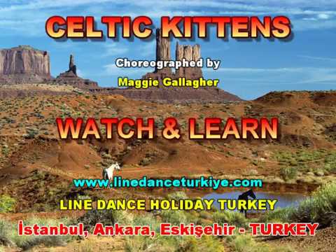 Celtic Kittens (Watch & Learn)