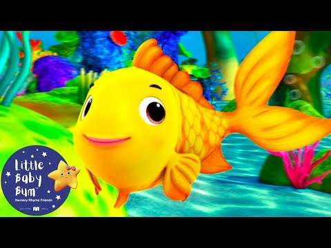 Canciones para Niños | Contando peces | Canciones Infantiles | Little Baby Bum