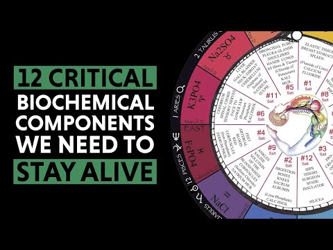 Tissue Salts, Histology & Demystifying Alchemy