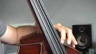Pascal Prautois Double Bass Lesson 05