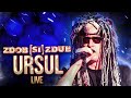 Zdob și Zdub — Ursul (Bestiarium live)
