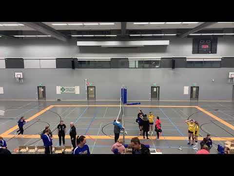 Salpis N2 - Kole -57