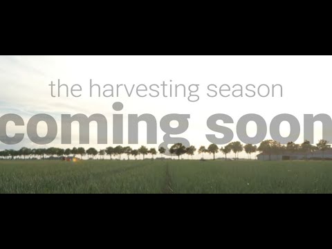 Preview the Fellowship of the Holland Onion - The Harvesting Season