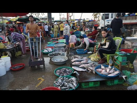 Morning Daily Activities Vendors Selling Fish @Chhbar Ampov - Morning Fish Market Scene in Town