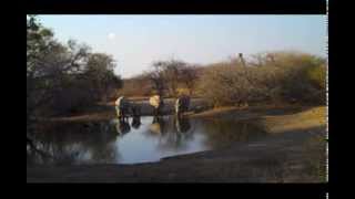 preview picture of video 'Khama Rhino Sanctuary'