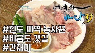 [어영차바다야 다시보기] 명품 미역을 기르는 한덕원씨/신안 비금도 갯길/간재미