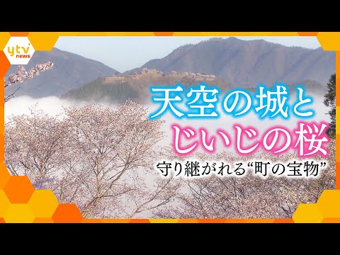 ytvドキュメント 天空の城とじいじの桜〜わが町の“ふたつの宝”を守り継ぐ〜