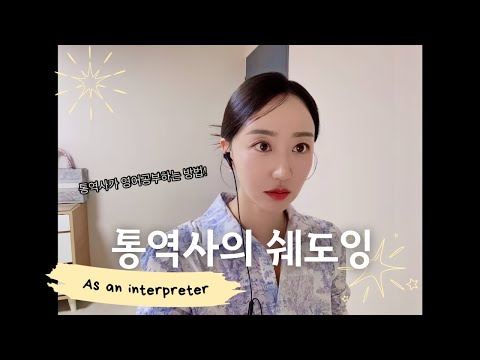 비디오 5