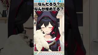 タイガの粗相を嬉しそうに話すミオしゃ#大神ミオ