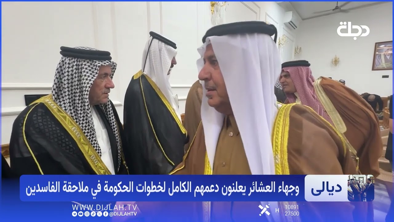 فيديو | معركة استرداد الأموال تكتسب قوة مجتمعية.. الفاسد بلا غطاء!
