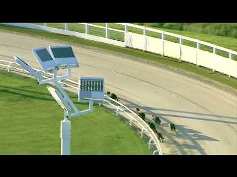 2018 STAR SPORTS DERBY STAYERS A - T3 RIDGEDALE MAX