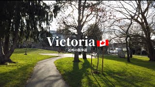 【散歩道】カナダのVictoria在住者が近所のカフェに向かう道のり