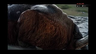 FF15　初見プレイ　新タイムズクエスト＆ハントクエストに挑戦♪　パート24
