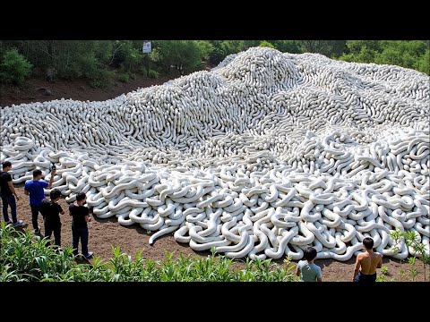 80 Strange Things Happening Right Now Around the World Caught on Camera