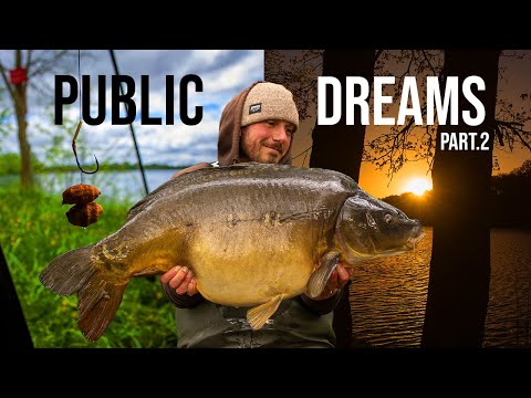 PUBLIC DREAMS PART 2 | GIGANTIC French Carp, Public Lake Fishing Adventure |