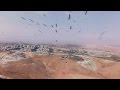 Storks Fly In Thermals Israel 2015