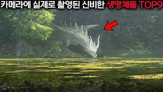 Download lagu Creepy traces left by unexplained mythical creatures mp3
