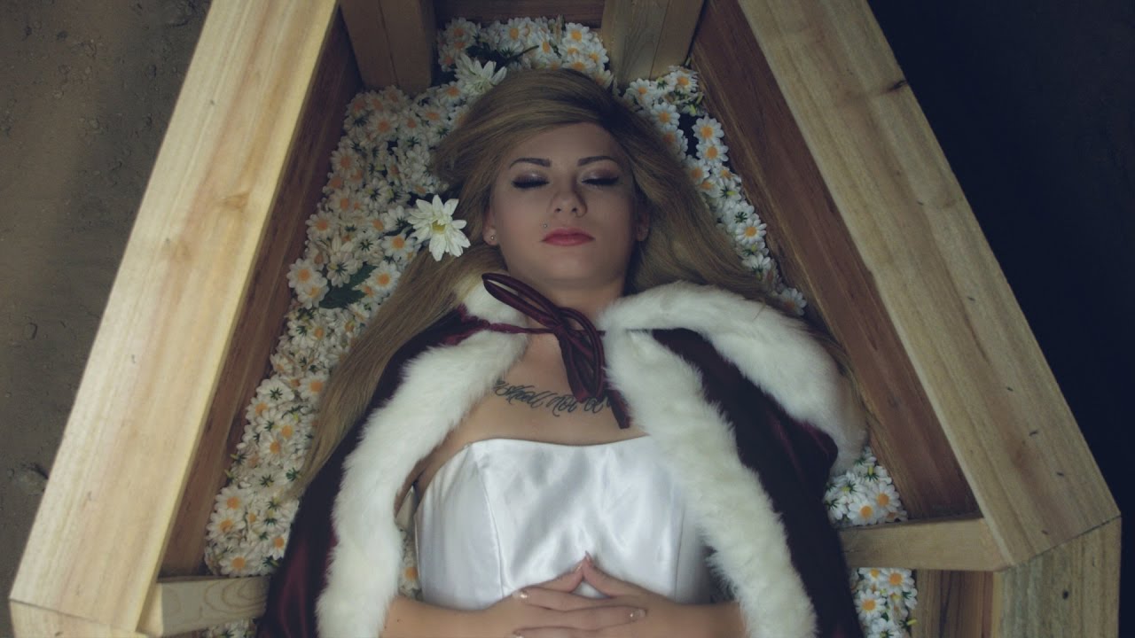 Shannon Taylor — Pushing Daisies