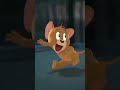Tom And Jerry The Bhojpuri