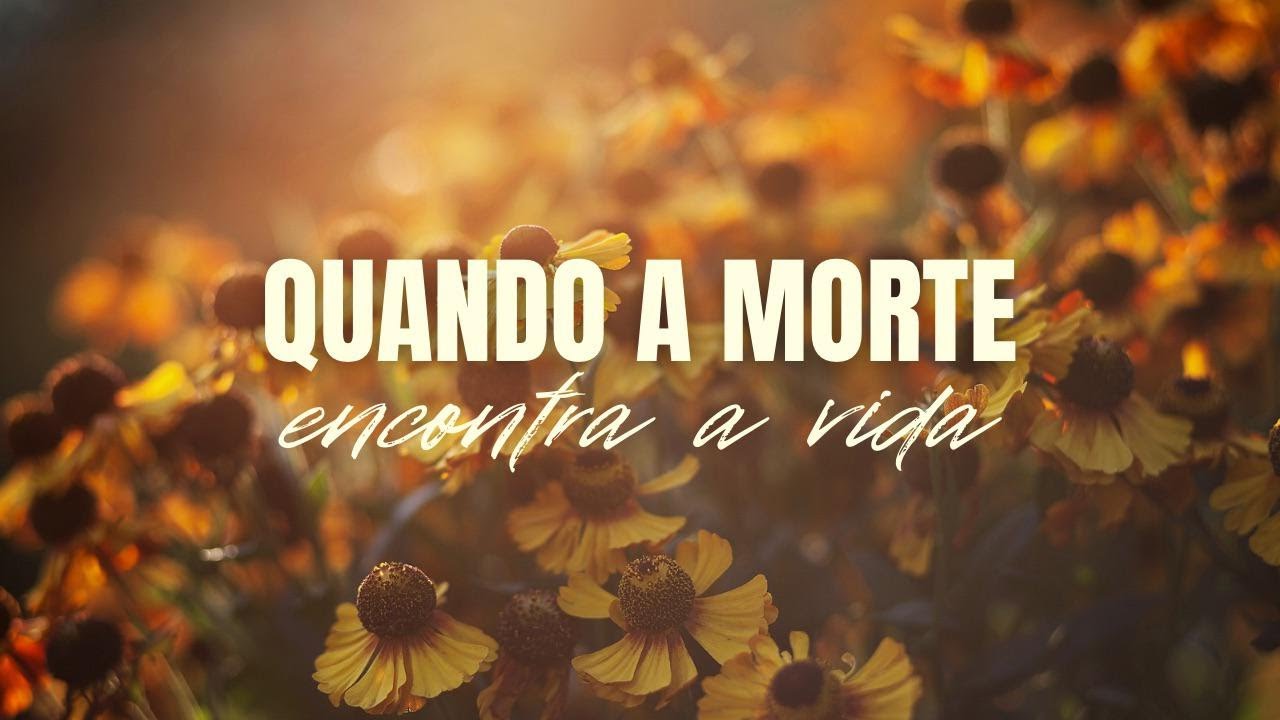 Quando a Morte Encontra a Vida | Pra. Nayara